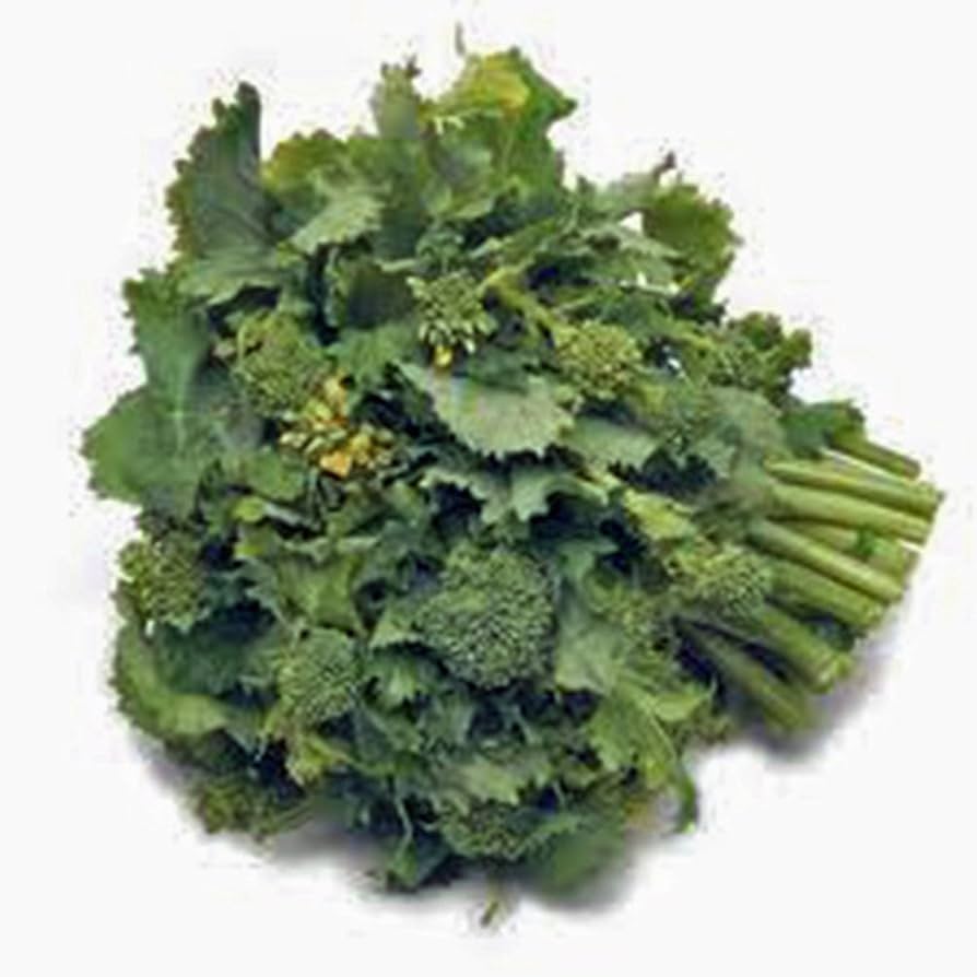 Broccoli Raab Seeds for Nutritious Green Vegetables