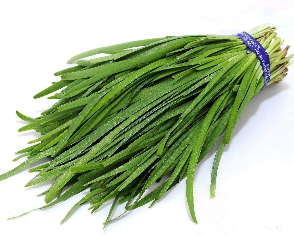 Chinese Garlic Chives Seeds – Seeds for Easy Growing Herbs & Wildlife Gardens