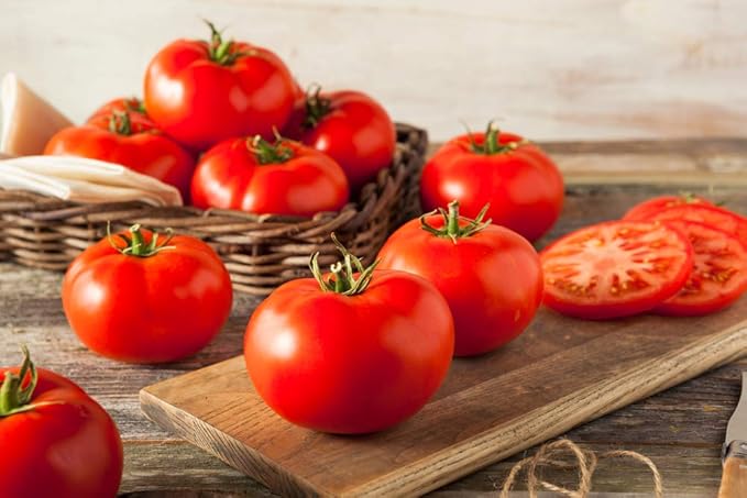 Tomato Solanum lycopersicum for planting in vegetable patch and home garden