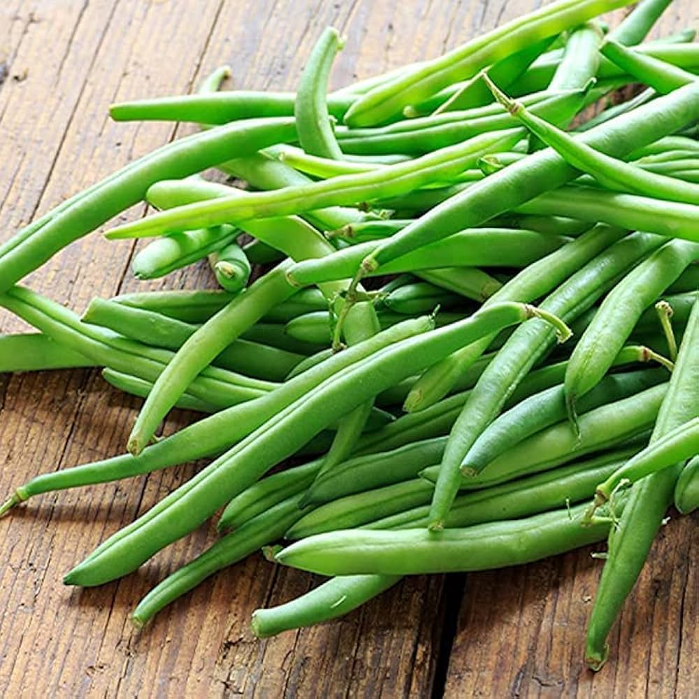 French Bean Candidate – Phaseolus vulgaris – for urban farming and garden planting