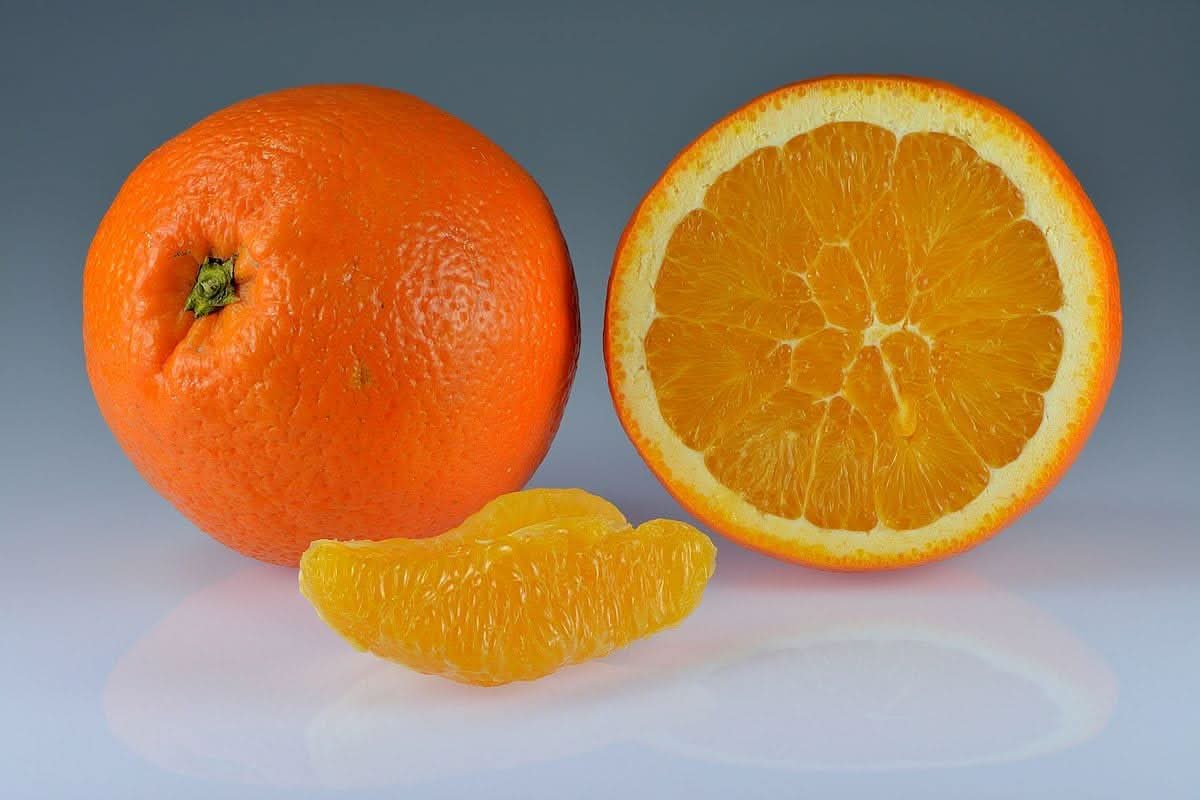 GrapeFruit Seeds for Planting - Organic, Ideal for Tropical and Subtropical Gardens,Heirloom Seeds