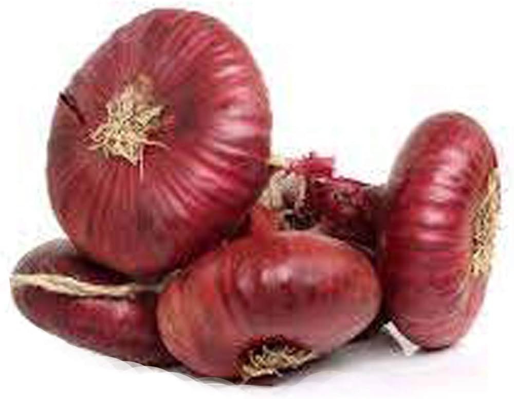 Italian Red Cipollini Onion Seeds for Planting Allium cepa Heirloom Garden