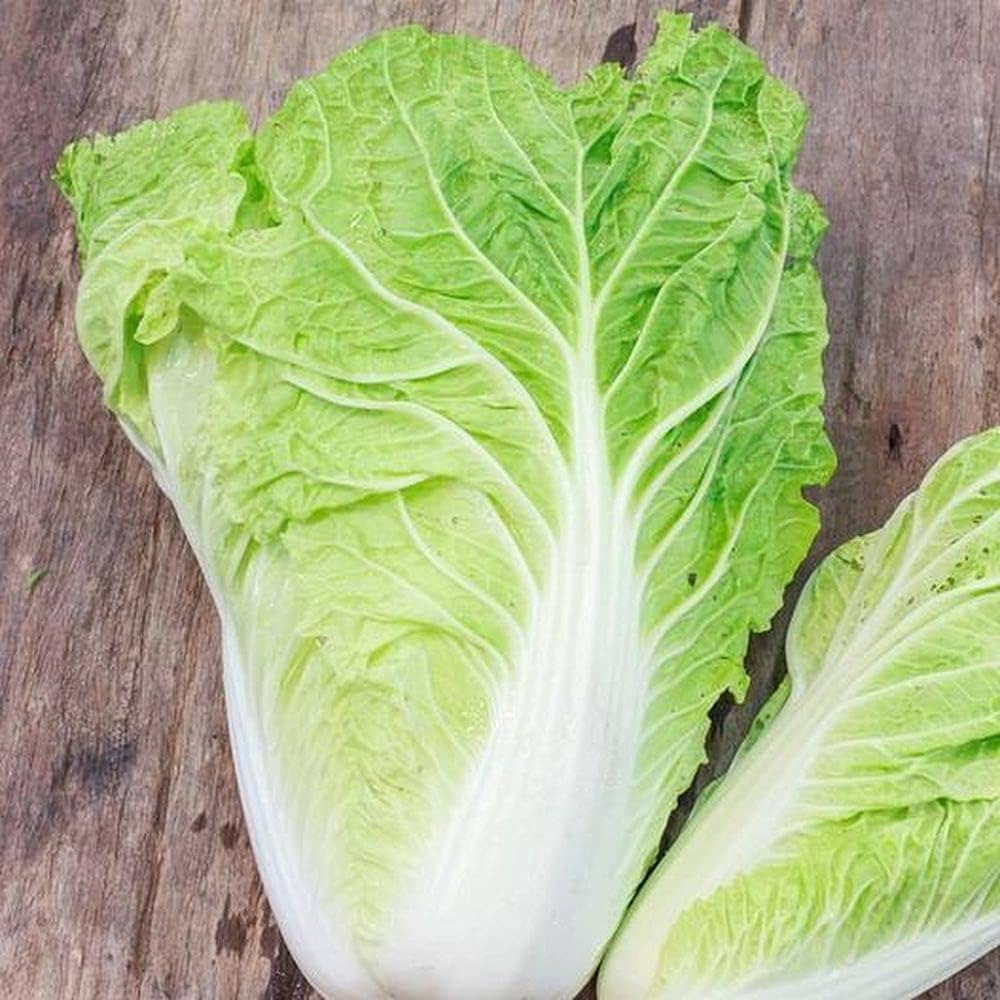 Chinese Cabbage (Brassica rapa) Michhili seeds for garden planting