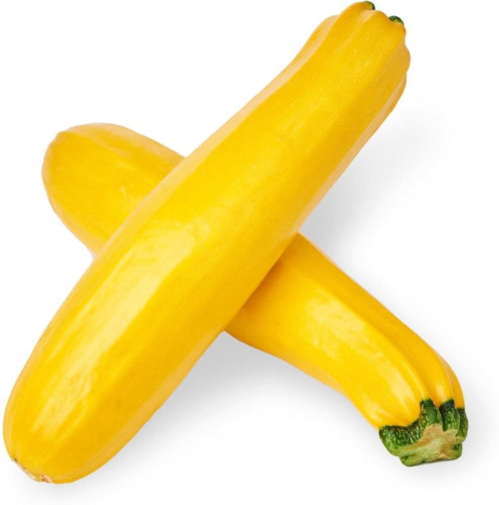Yellow - Zucchini for planting in home garden
