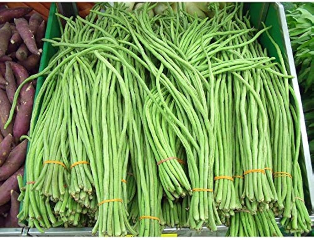 Blackeye Peas Seeds for Planting vegetable patch