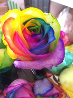 Mystic Rainbow Rose Flower Seeds