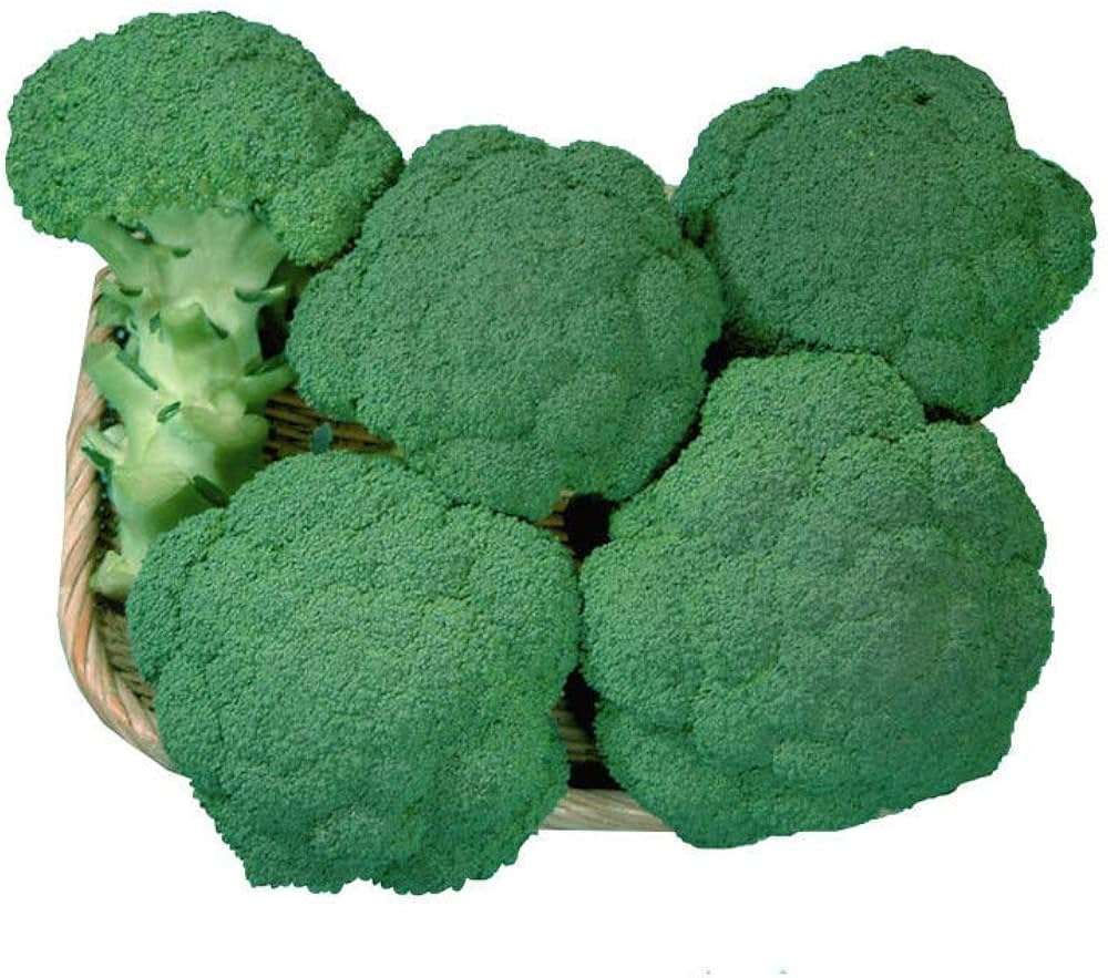Waltham Broccoli Seeds, Bio, +