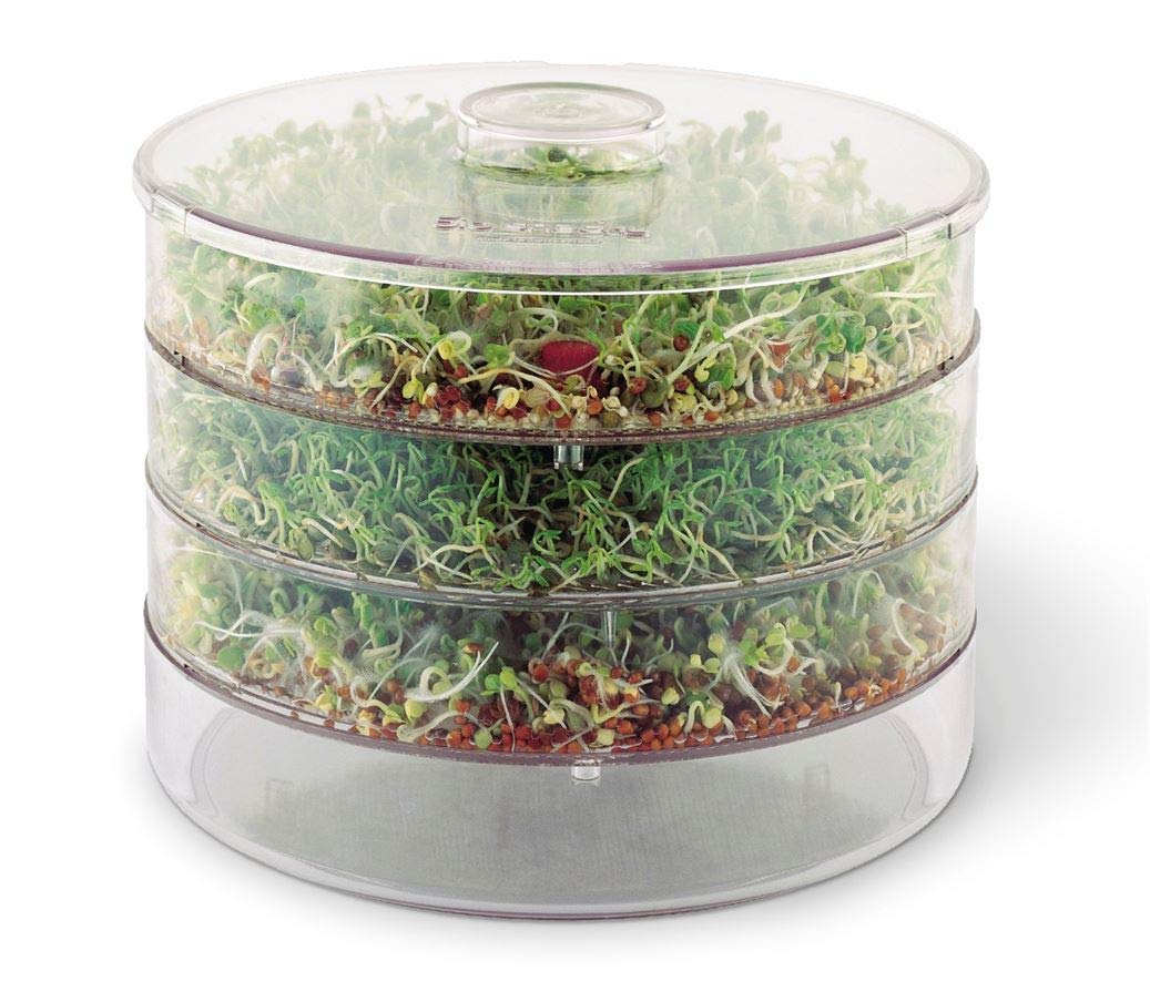 Easy Sprout Container for Fast Seed Sprouting