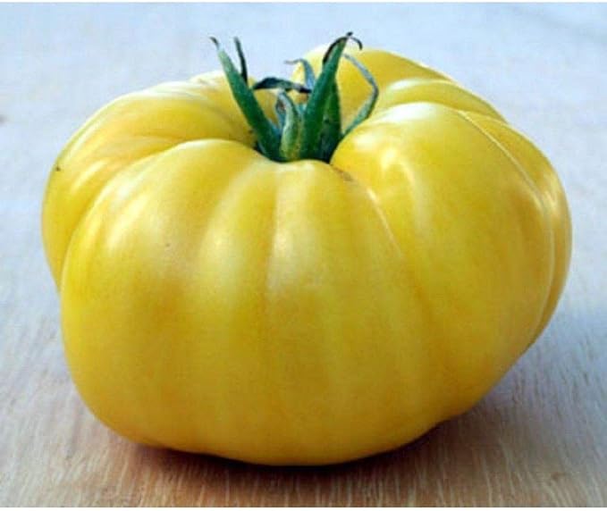 Dixie Golden Giant organic heirloom tomato seeds
