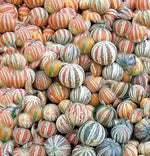 Kajari melon fruit seeds