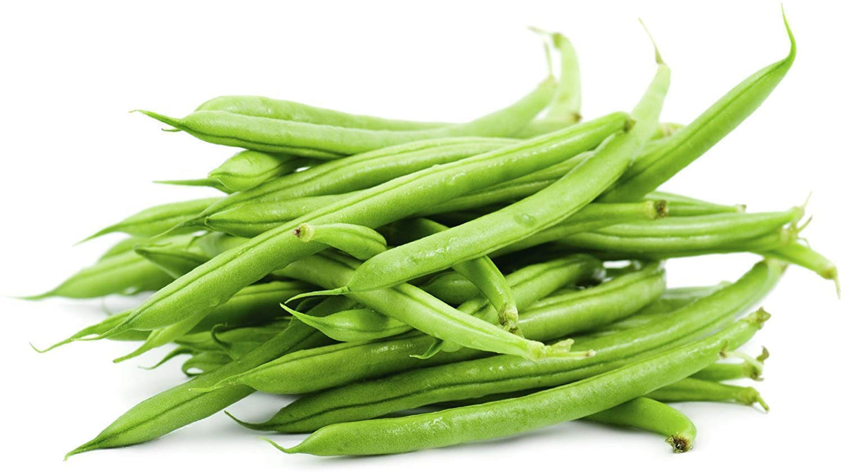 France Lago Blu Pole Bean for planting in vegetable patch