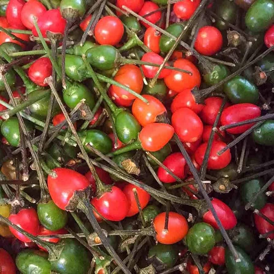 Texas Chiltepin Pepper Capsicum annuum Pepper Seeds for Planting