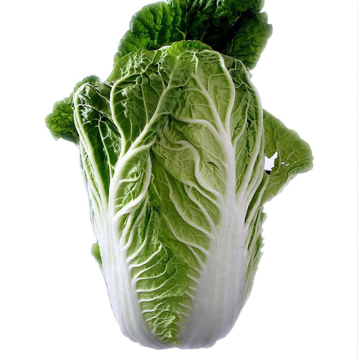 Greens Brassica Hybrida Asian Green Mix Seeds for Planting – Ideal for Kitchen Garden and Stir-Fry Dishes