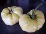 Great White tomato heirloom seeds for low-acid tomatoes