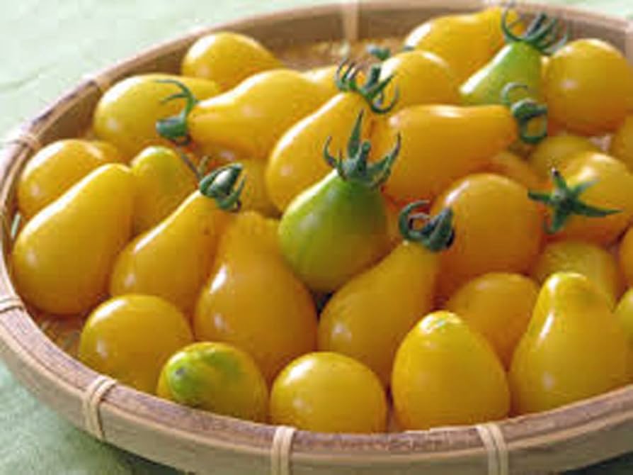 Yellow Pear Tomato Seeds – Seeds for Growing Sweet, Unique Pear-Shaped Tomatoes