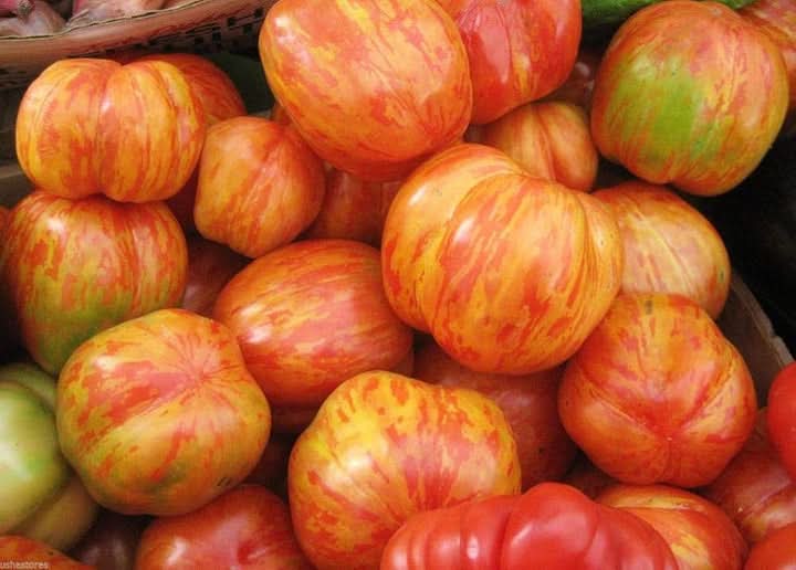 Tigerella Tomato Vegetable Seeds for Planting