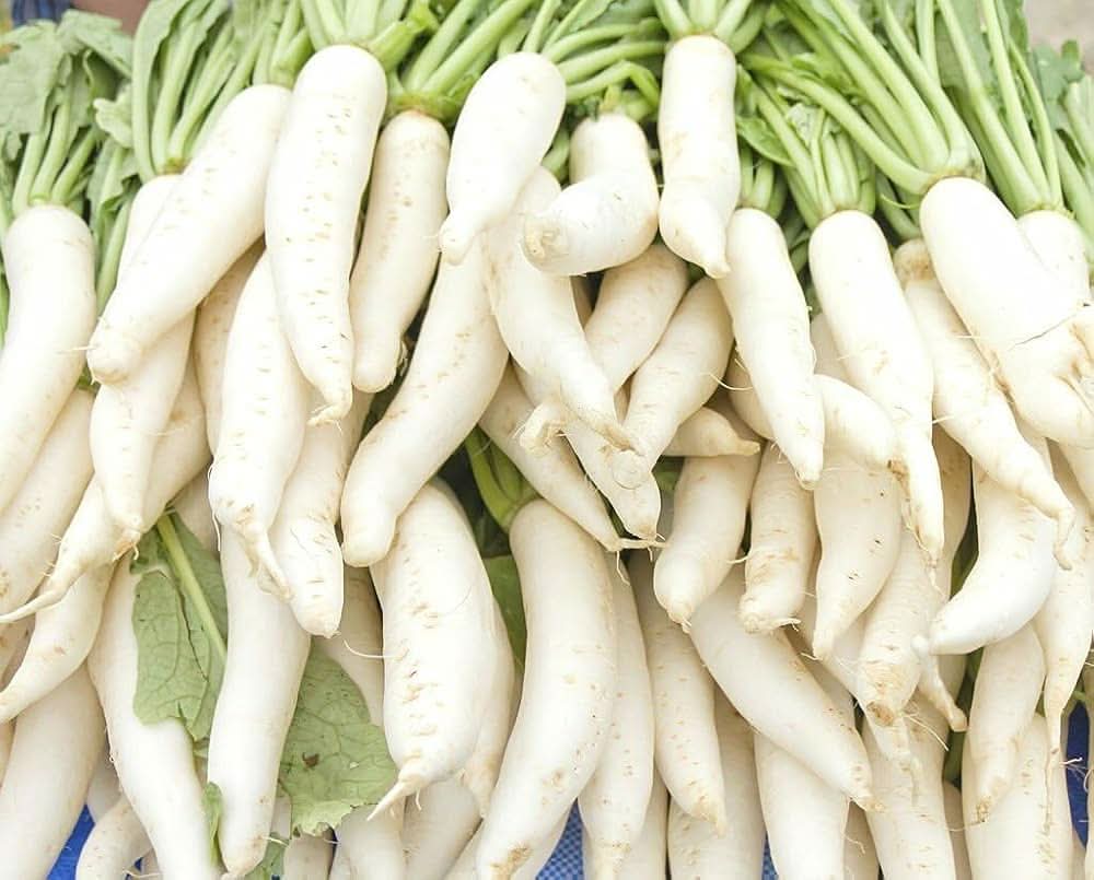 Daikon Radish Heirloom Non-GMO Asian Vegetable Seeds