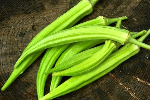 Okra Abelmoschus esculentus Green vegetable seeds for planting in home garden or raised beds