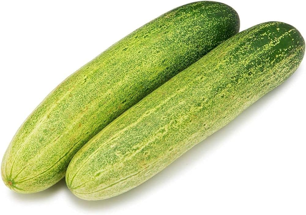 Cucumber Cucumis sativus vegetable seeds for kitchen garden planting