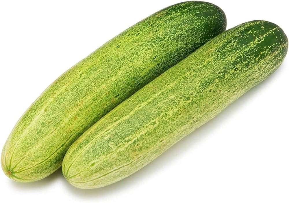 Paris Beizen cucumber plant from seeds with straight, crisp fruits ideal for pickling