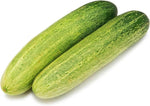 Paris Beizen cucumber plant from seeds with straight, crisp fruits ideal for pickling