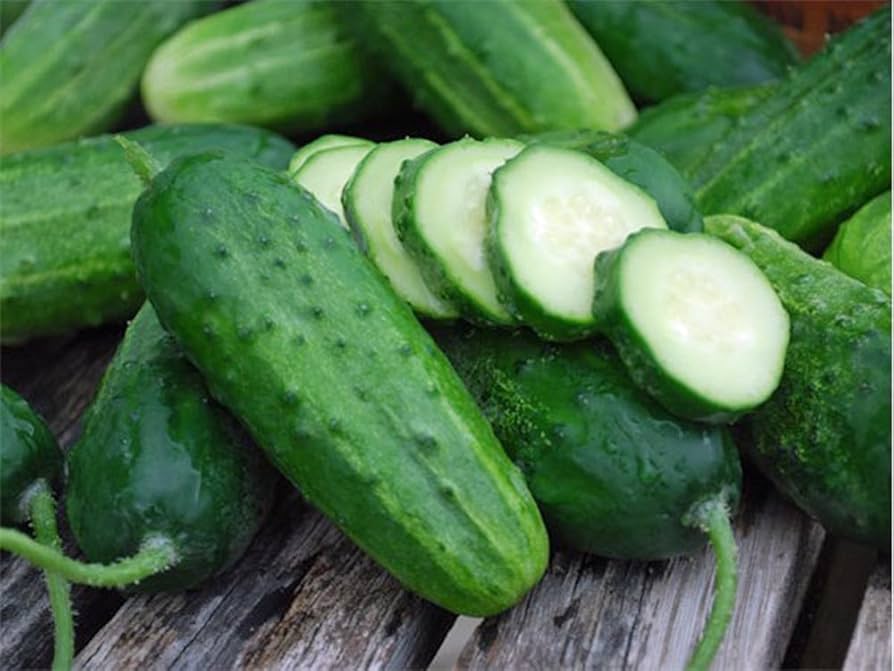 Boston Cucumber seeds for quick harvesting garden crops