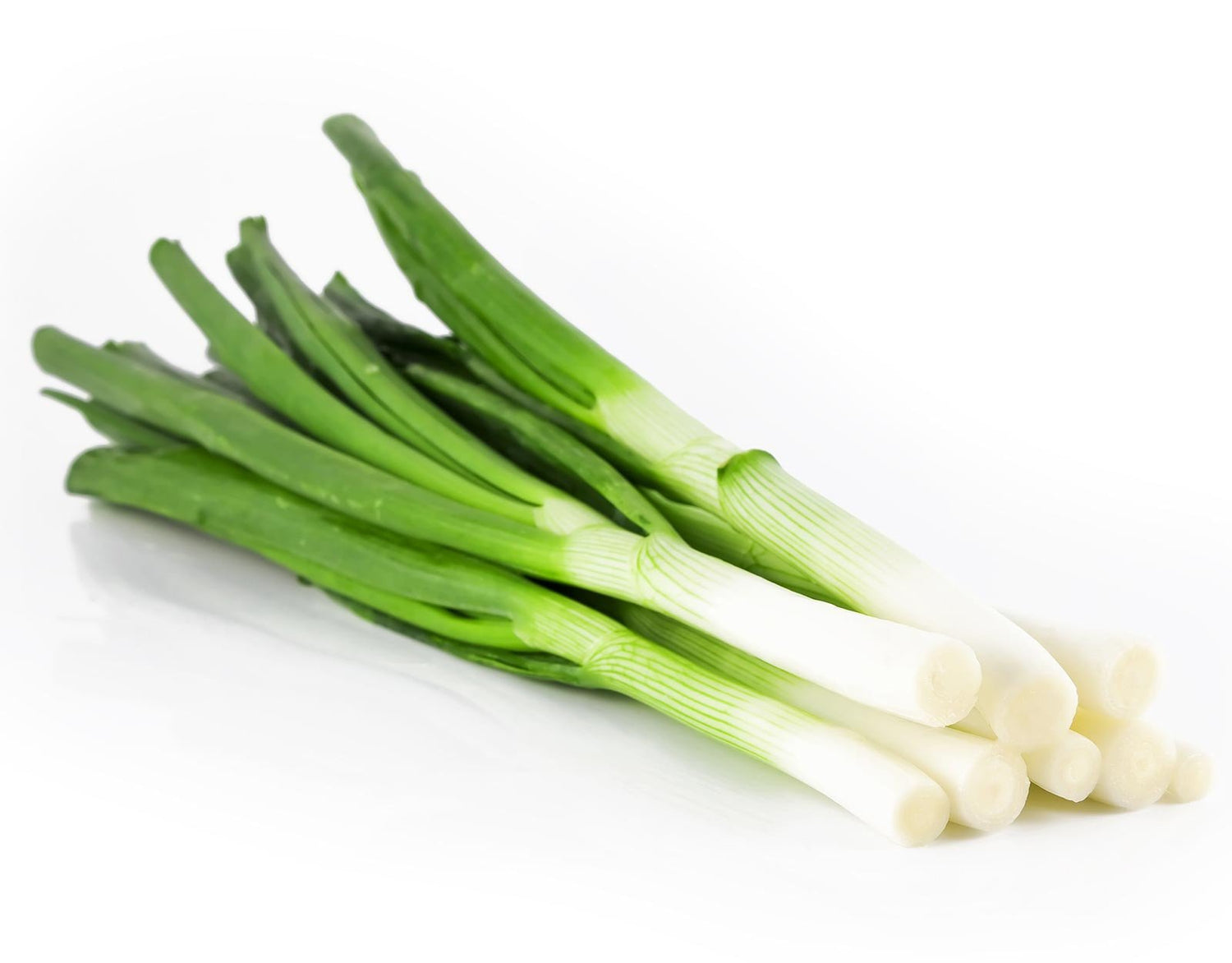 Leek Allium Porrum Vegetable Seeds
