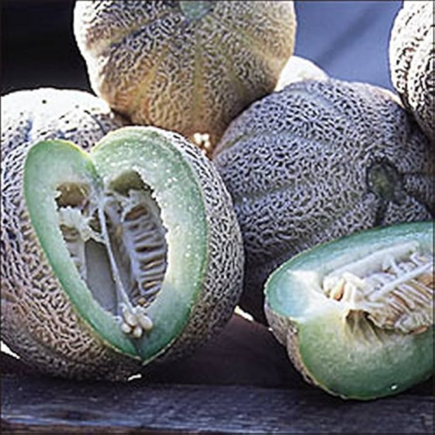 Edens Gem Rocky Ford melon seeds for home garden planting