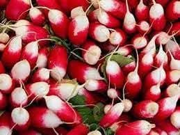 French Breakfast Radish Seeds for Planting heirloom & Non-GMO Seeds