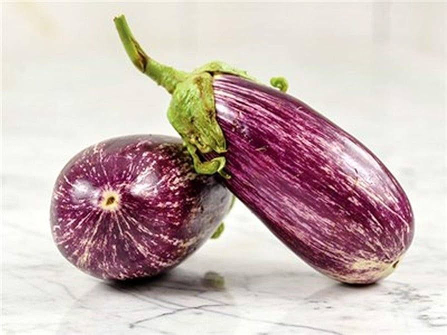 Listada De Gandia Eggplant Seeds pcs Purple Creamy Skin