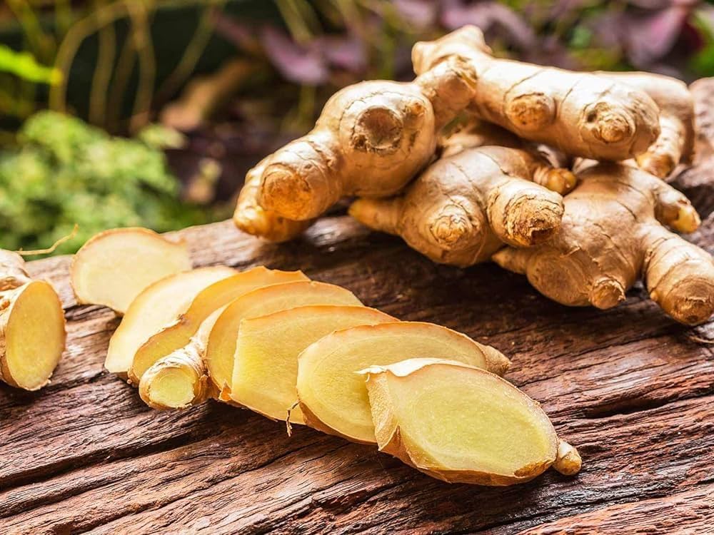 Perennial Ginger Vegetable Seeds for Planting