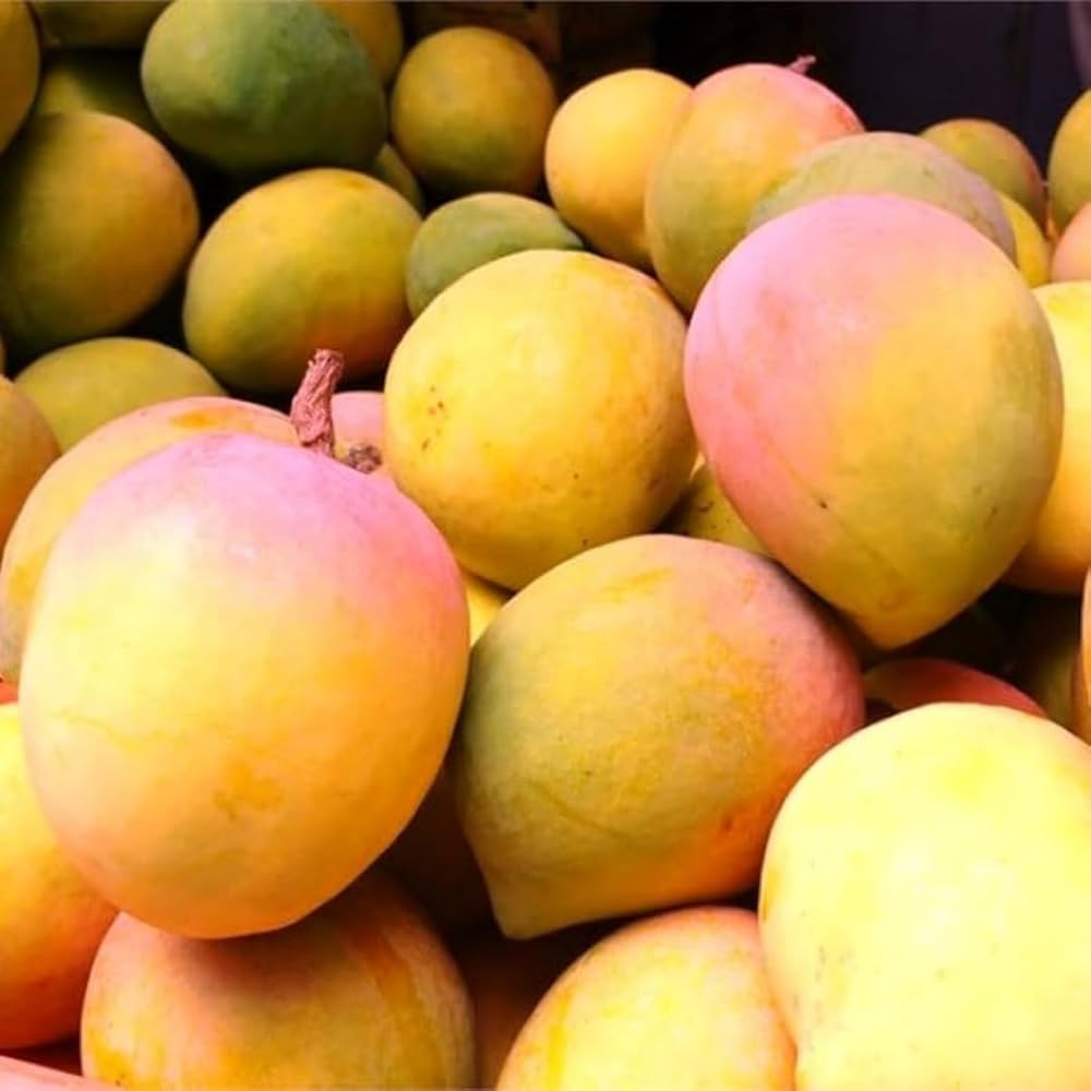 Raspuri Mango – The Sweet and Juicy Delight