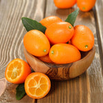 Kumquat orange fruit seeds for home orchard or patio garden