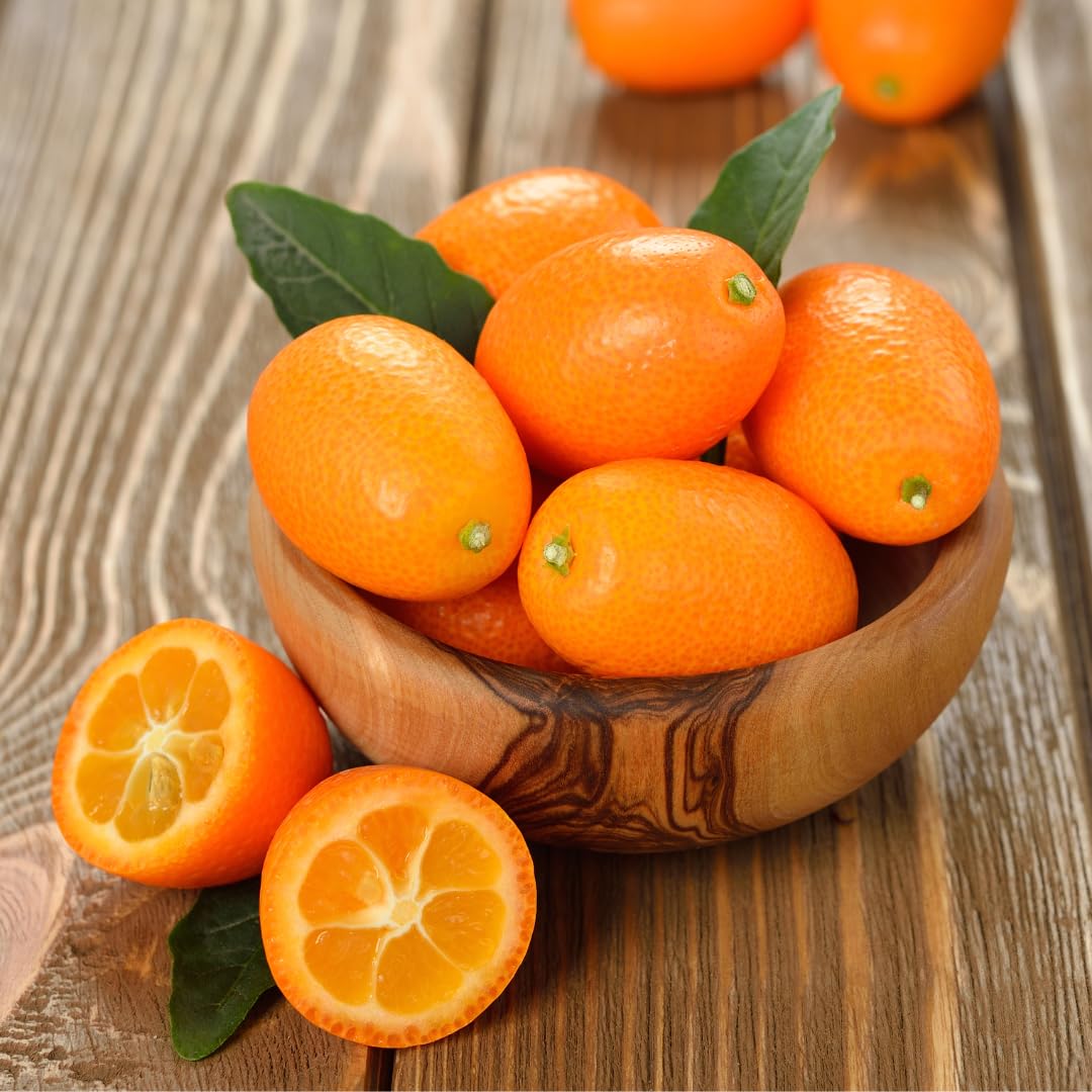Kumquat orange fruit seeds for home orchard or patio garden