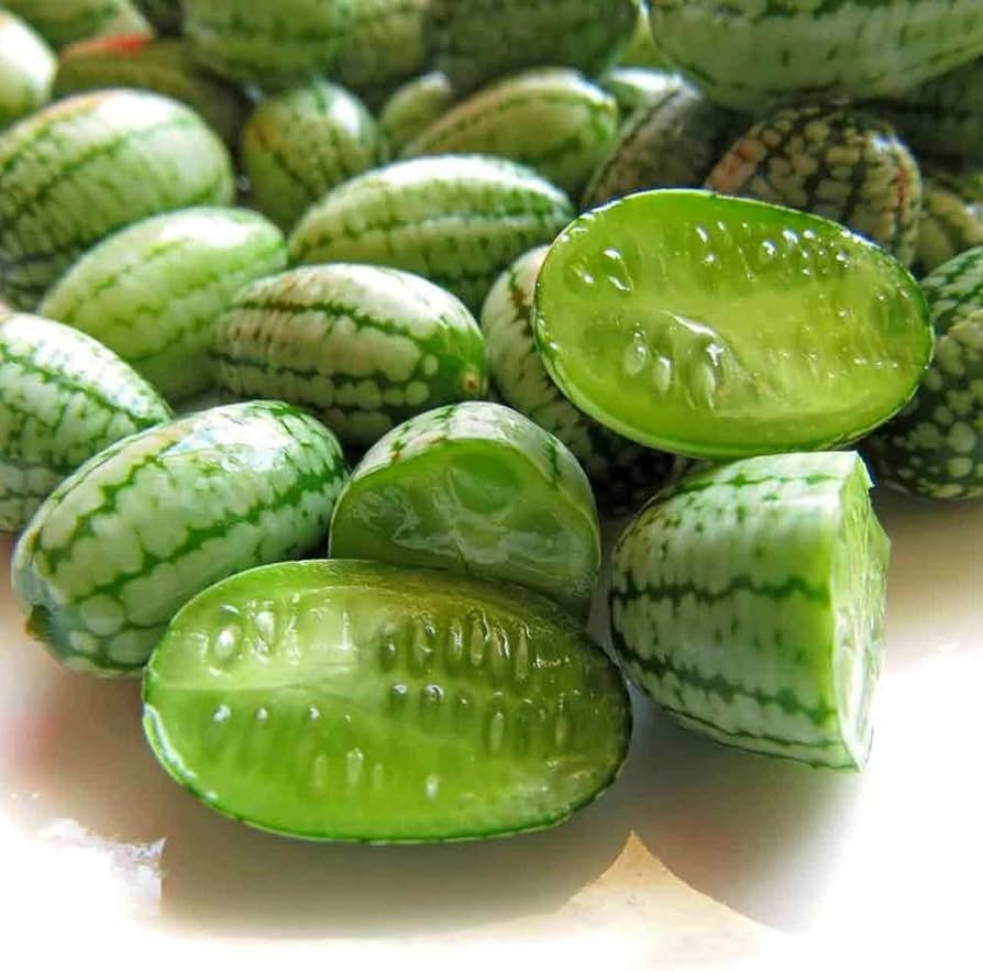 Cucamelon Mini Watermelon Seeds - pcs for Unique Fruit Garden Planting