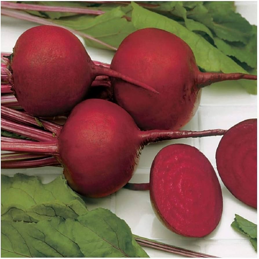 Beetroot Beta vulgaris Vegetable Seeds for Planting in Vegetable Patch and Garden