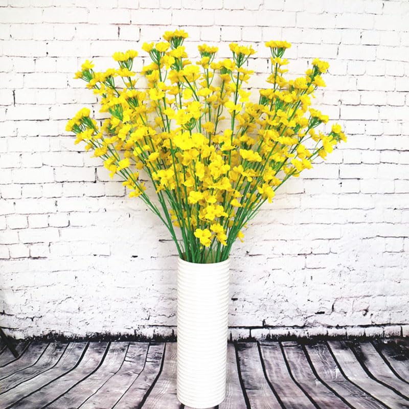 Rapeseed Flowers Brassica napus for Planting in Flower Bed