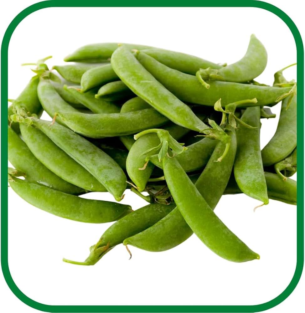 Sweet Lupini Bean Seeds (Lupinus albus)