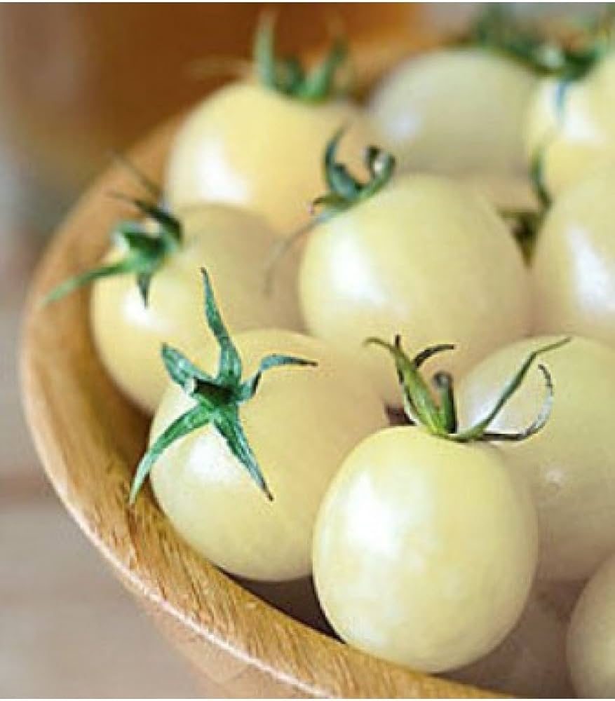 White Wonder Tomato Seeds – Organic Heirloom Tomato Variety for 2017