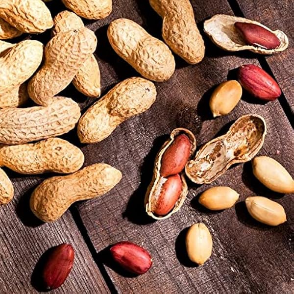Red Peanut Fruit Seeds pcs Chinese Earth Bean Groundnut