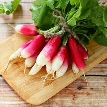 Radish Seeds for Planting