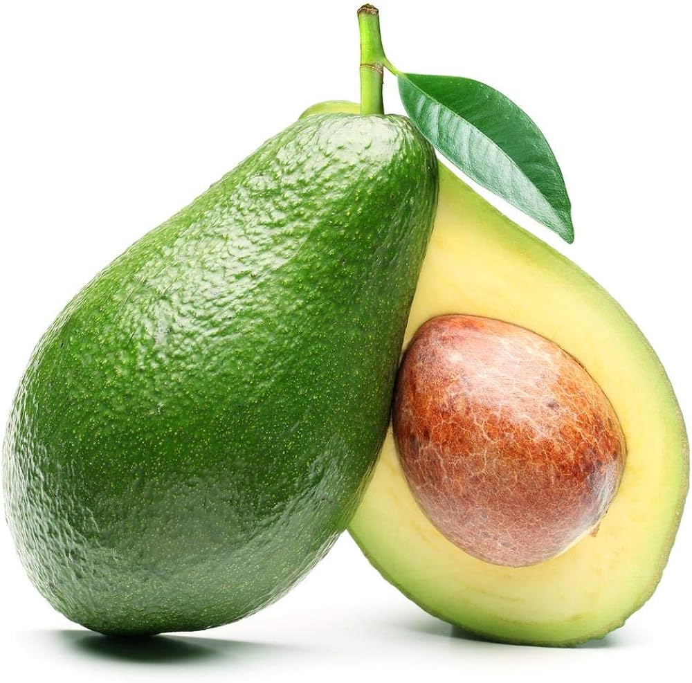 Persea Avocado Bacon Seeds