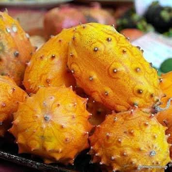 Kiwano Fruit Seeds - Exotic Horned Melons for Your Garden