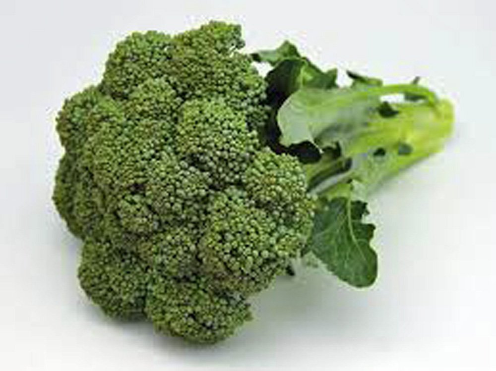 Broccoli Waltham Heirloom Organic Seeds, / Ounce