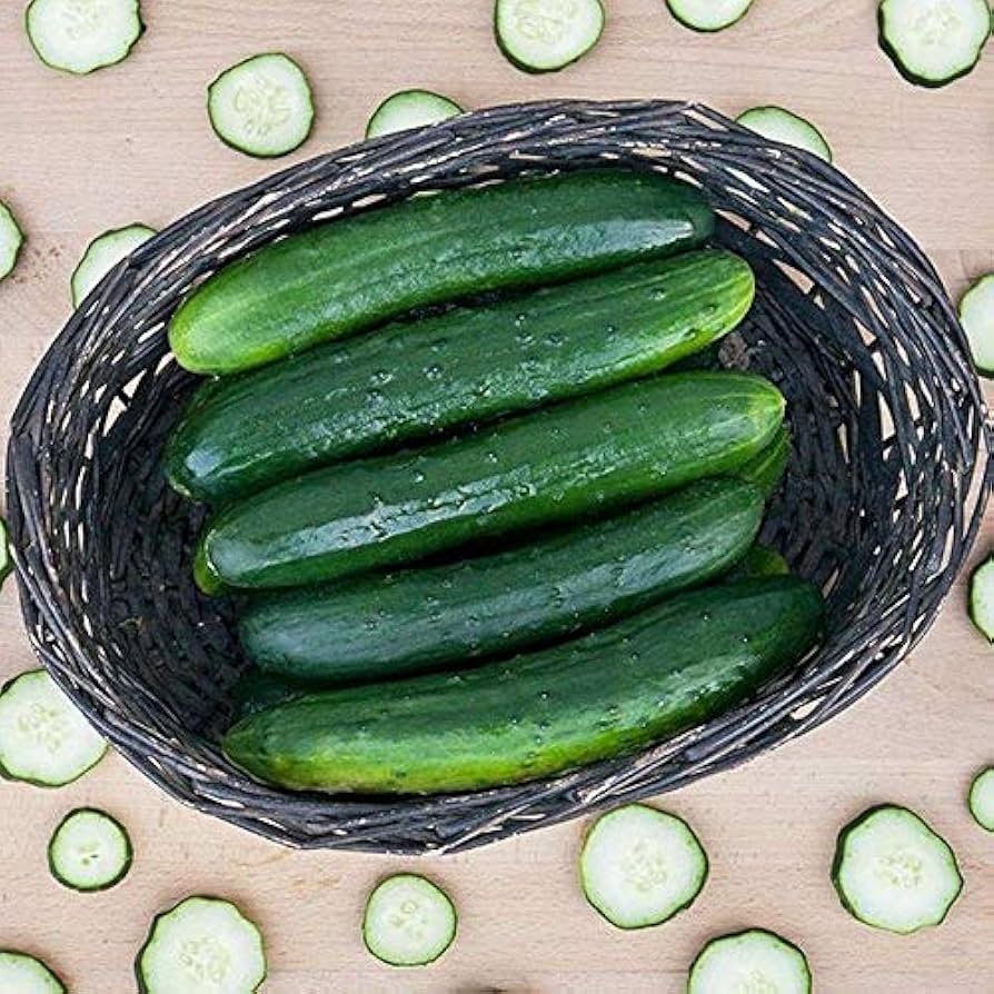 Suyo Long Cucumber Seeds for Sweet and Crisp Garden Cucumbers