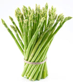 Asparagus Mary Washington seeds (Non-GMO) sprouting into tall, feathery foliage with thick, tender green asparagus spears ideal for spring harvests