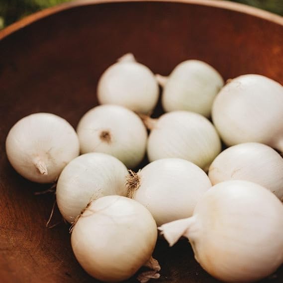 Onion Allium Cepa Sweet Spanish White Vegetable Seeds for Planting – Variety for Kitchen Garden and Cooking Use