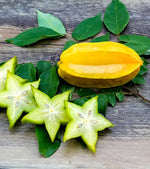 Star Fruit Seeds Averrhoa carambola for planting in urban garden