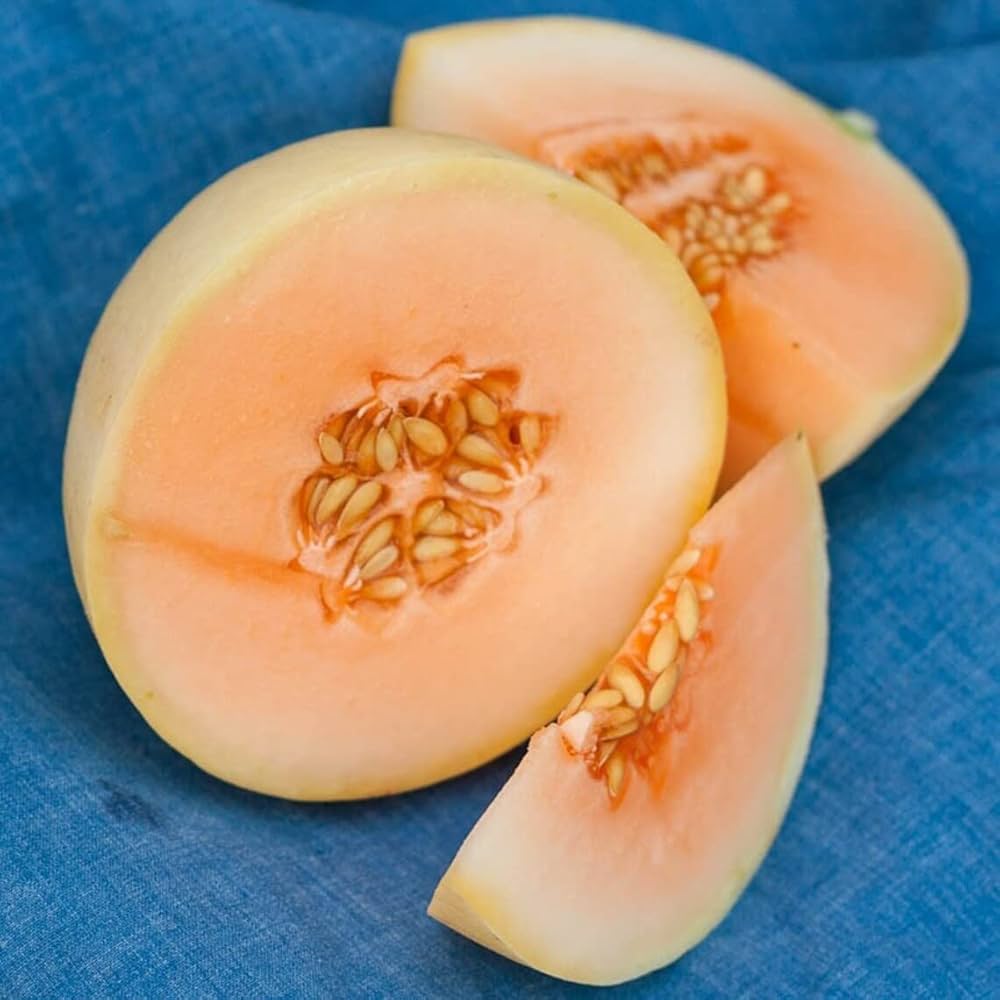 Honey Melon Seeds - Loupe Orange Sweetness, Outcrossing Cantaloupe/Honeydew for Home Garden