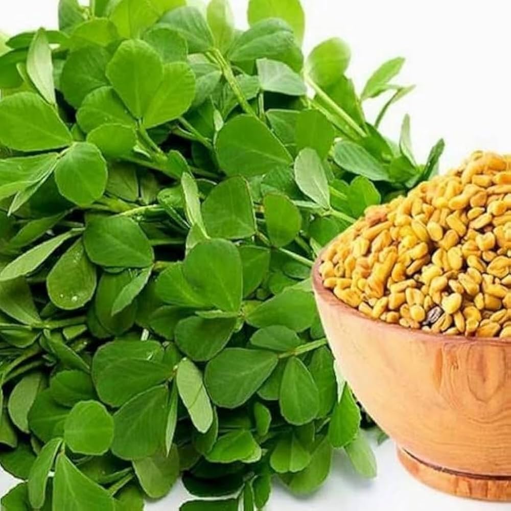 Fenugreek Seeds